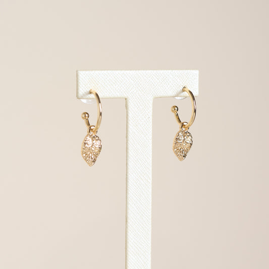 Gold Front Detail