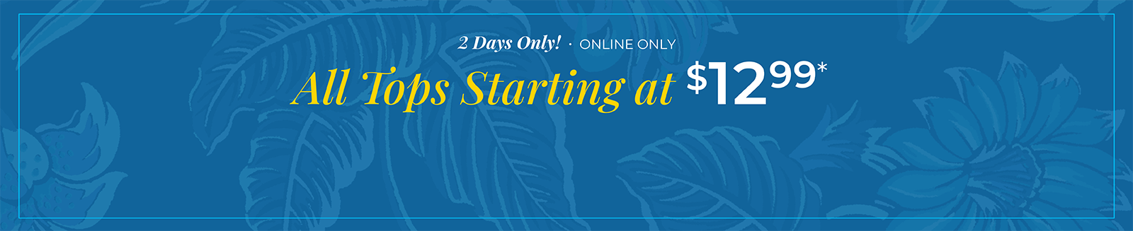2 Days Only! Online Only: All Tops Starting at $12.99