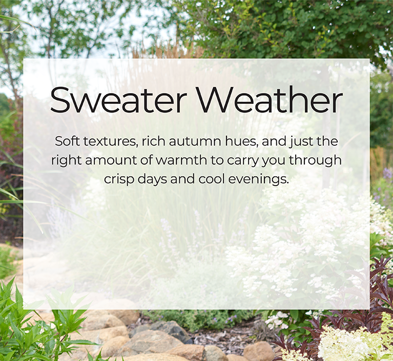Sweater Weather: Soft textures, rich autumn hues, and just the right amount of warmth to carry you through crisp days and cool evenings.