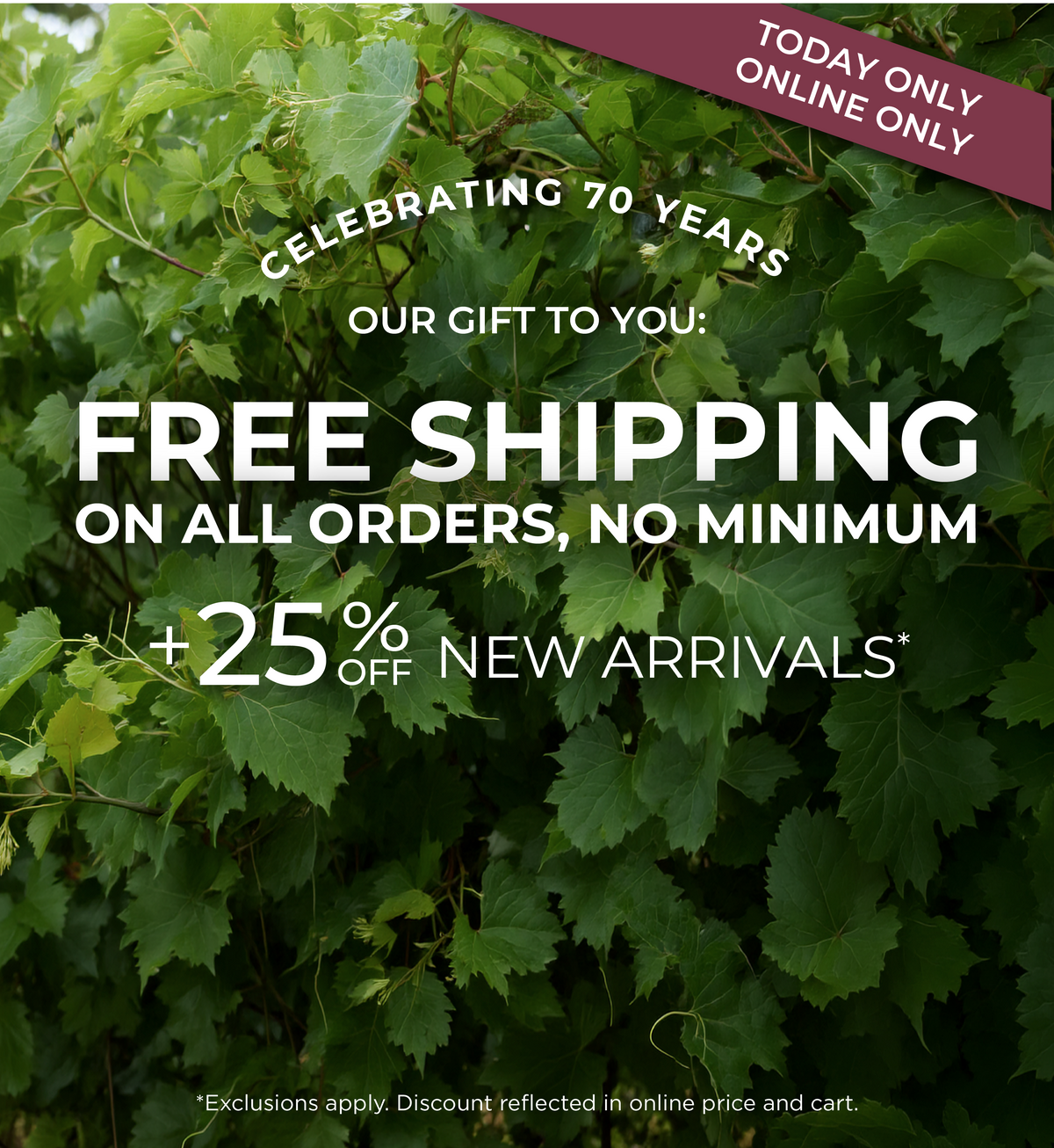 Today Only! Online Only: Celebrating 70 Years - Our Gift to You: Free Shipping On All Orders, No Minimum + 25% off New Arrivals *exclusions apply