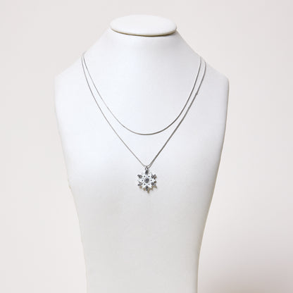 Silver Detail