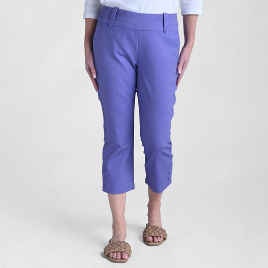 Aster Violet