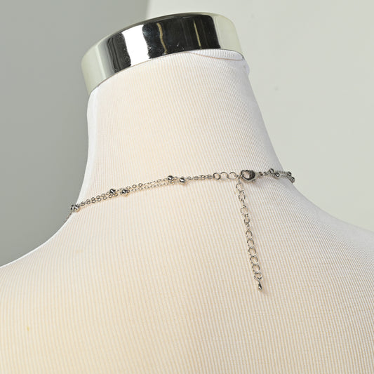 Silver Back Detail